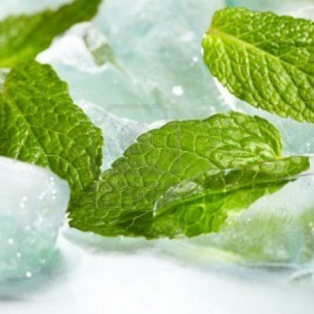 e-liquide eliquide e liquide menthe glaciale
