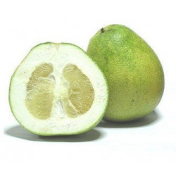 E-liquide Pomelos