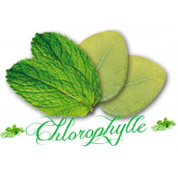 e-liquide eliquide e liquide menthe chlorophylle