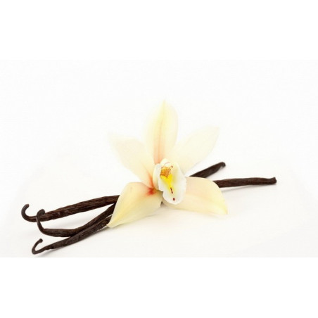 e-liquide eliquide e liquide vanille bourbon e-liquide eliquide e liquide vanille bourbon