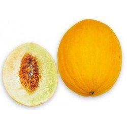 E-liquide Melon Canari