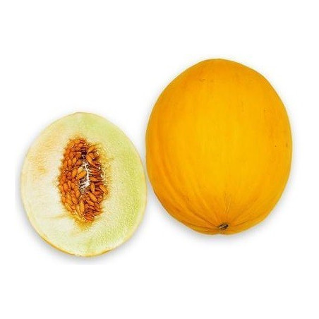 e-liquide eliquide e liquide melon canari e-liquide eliquide e liquide melon canari