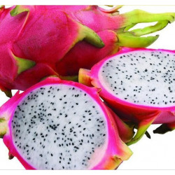 E-liquide PITAYA
