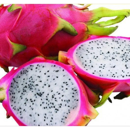 e-liquide eliquide e liquide fruit du dragon PITAYA e-liquide eliquide e liquide fruit du dragon PITAYA