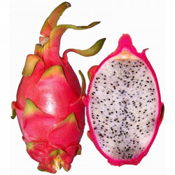 e-liquide eliquide e liquide fruit du dragon PITAYA 2
