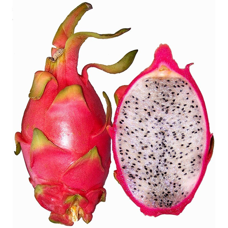 e-liquide eliquide e liquide fruit du dragon PITAYA