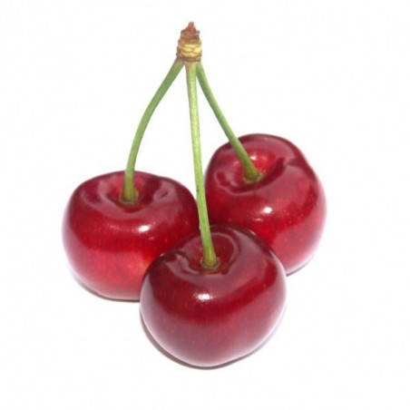 e-liquide eliquide e liquide cerise e-liquide eliquide e liquide cerise
