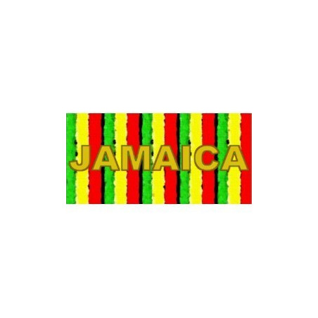 Flacon prédosé Tabac Rasta