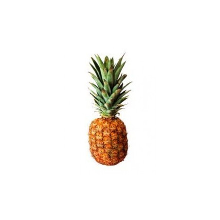 Flacon prédosé Ananas