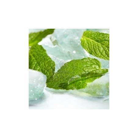 Flacon prédosé Menthe Glaciale