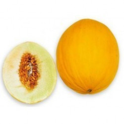 Flacon prédosé Melon Canari