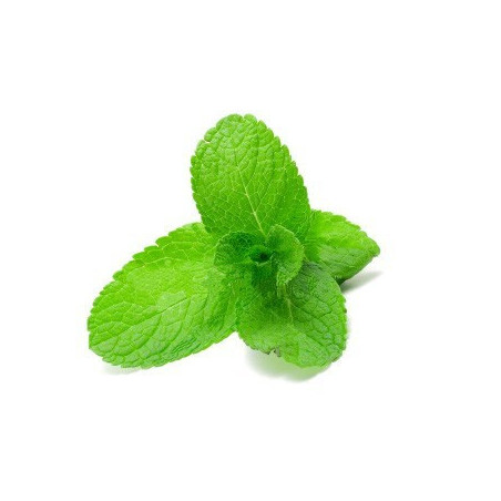 e-liquide eliquide e liquide menthe fraiche