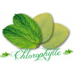 Flacon prédosé Chlorophylle
