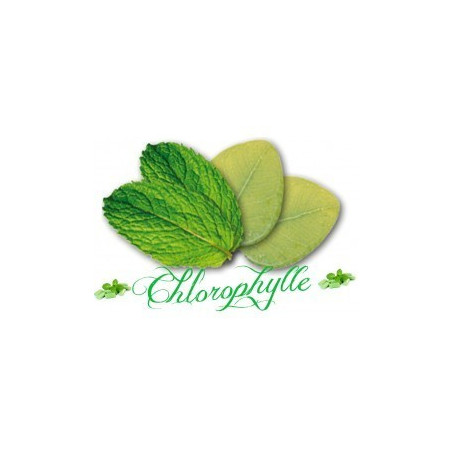 DIY E-liquide eliquide e liquide arôme concentré menthe Chlorophylle