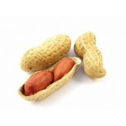 Flacon prédosé Cacahuète