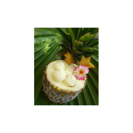 DIY E-liquide eliquide e liquide arôme concentré prédosé Ananas givré